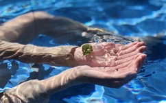 bl车车好快的车车p网站